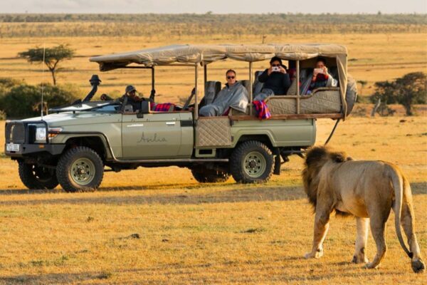 4 Days, 3 Nights Luxury Safaris