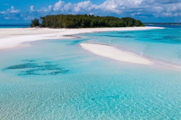 Mnemba Island Snorkling and Dolphin