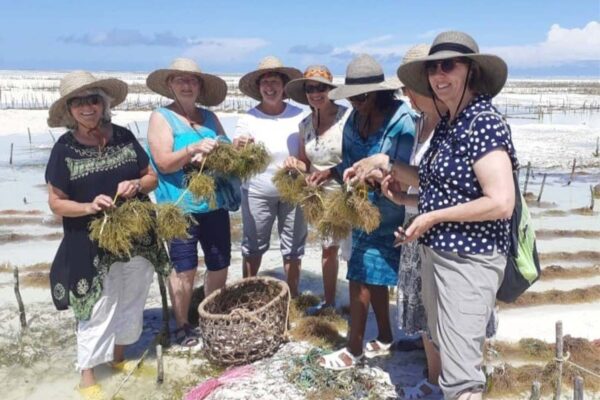 Seaweed Farm